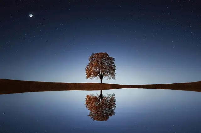 Reflection, resilience and resourcefulness